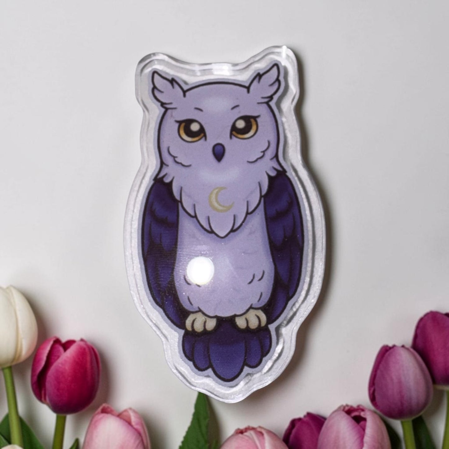 Astral Owl Coverminder