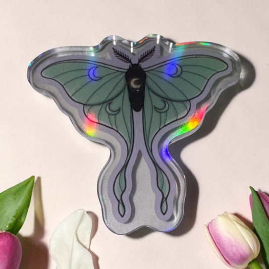 Luna Moth Coverminder