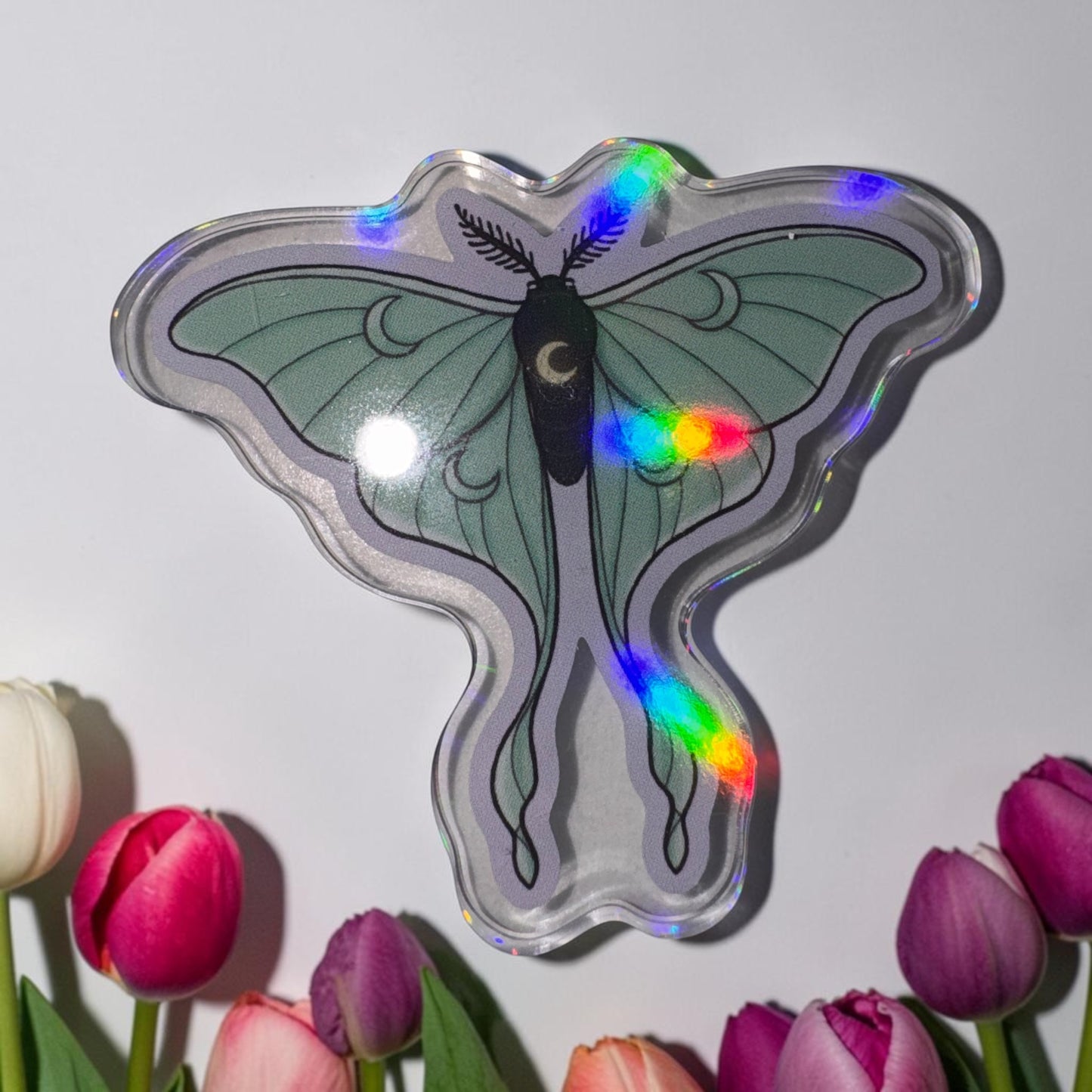Luna Moth Coverminder